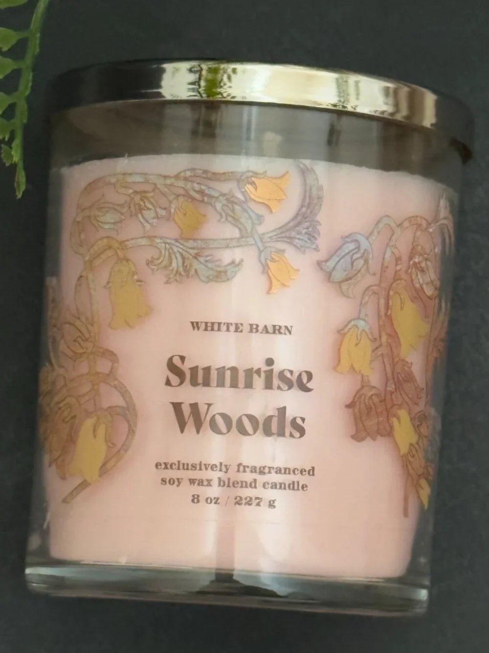BBW Sunrise Woods White Barn Bath & Body Works Single Wick Candle - Picture 5 of 10